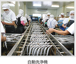 自動洗浄機
